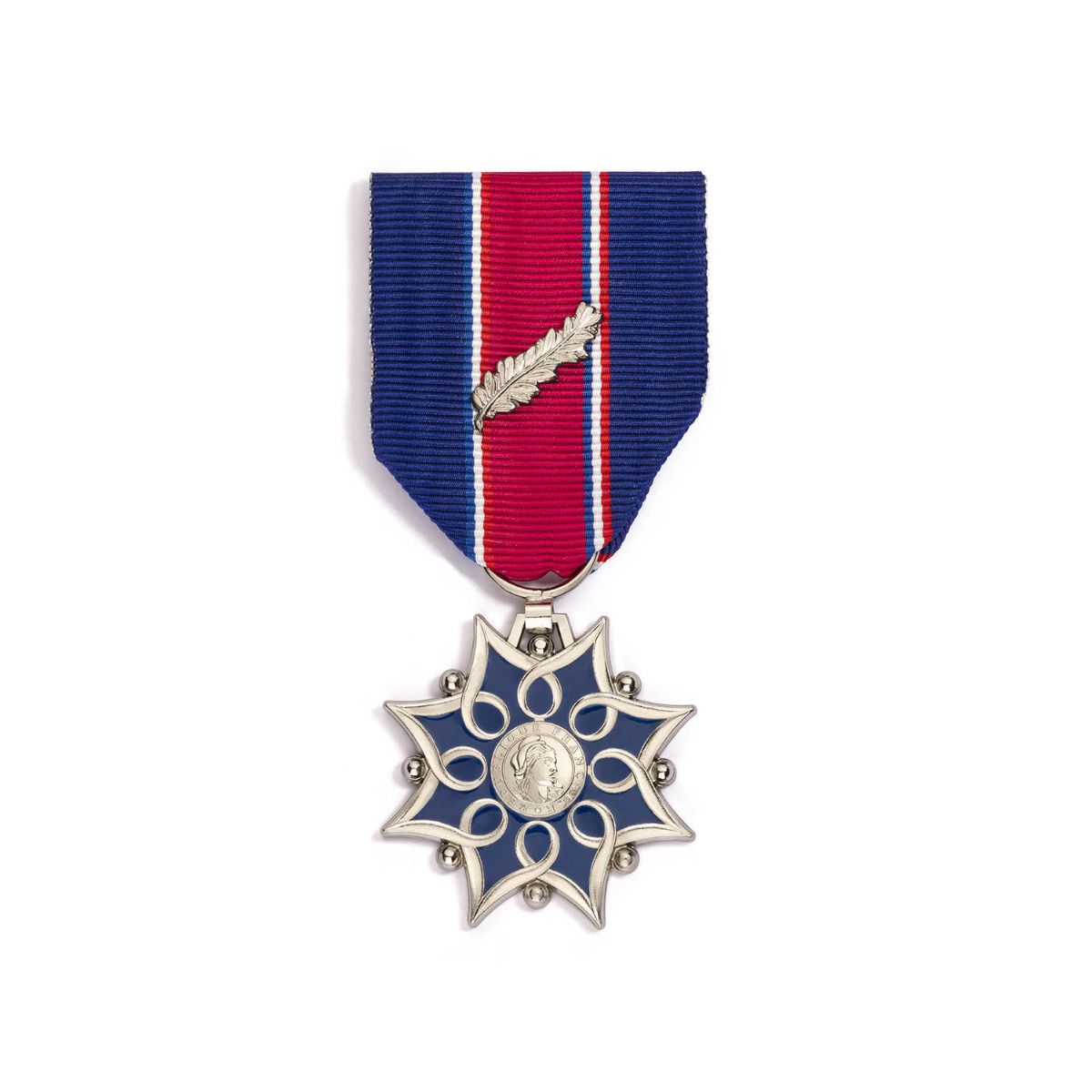 Médaille d'Honneur de la Santé et des Affaires Sociales - Échelon Argent face